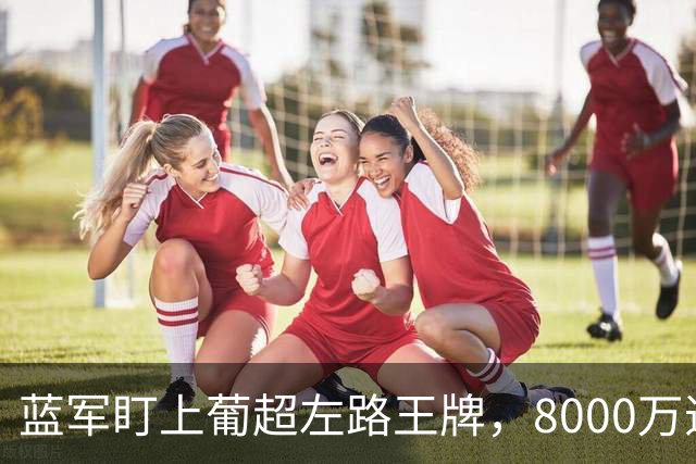 蓝军盯上葡超左路王牌，8000万违约金拦着，切尔西却已经敲门了